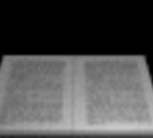 Expérimentation de structuration de la profession dans les établissements Expérimentation de structuration de la profession dans les établissements