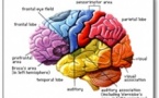 The Jerusalem International Conference on Neuroplasticity and Cognitive Modifiability