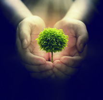 Journal des psychologues Journal des psychologues