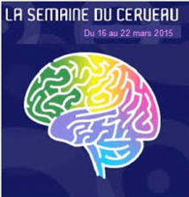 Semaine du cerveau 16-22 mars 2015 Semaine du cerveau 16-22 mars 2015