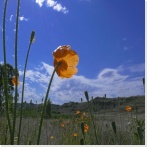 Photo : Photolibre.fr Photo : Photolibre.fr