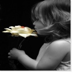 c/o Photolibre.fr c/o Photolibre.fr