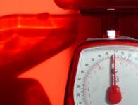 Photo : Bajstock.com Photo : Bajstock.com