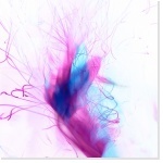 Mon expérience professionnelle Mon expérience professionnelle